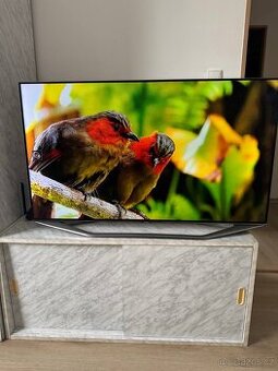 Prodám televizi v dobrém stavu.