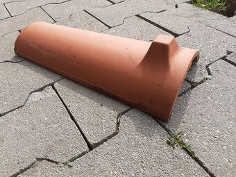 Hřebenáč na bobrovky