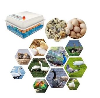 Inkubátor, líheň 20 slepičích vajec, na vodním lůžku