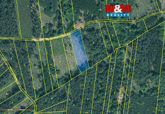 Prodej lesa, 5033 m², Jetětice