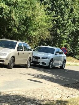 Ledvinky Grill bmw f10