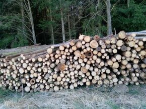 Palivové dřevo smrk, borovice 700 kč prostorový metr - 1