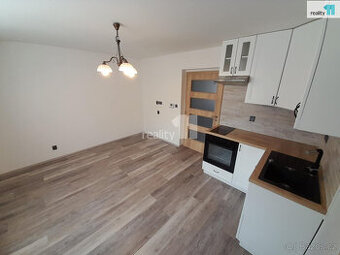 Pronájem bytu 3+kk, 64 m2, se zahradou, Dolní Radechová