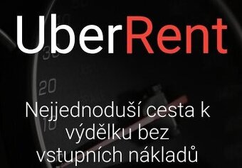 Řidič Taxi /Uber-Bolt/