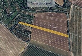 Prodej pole v k.ú. Svatobořice