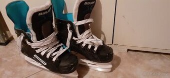 hok.brusle Bauer, EUR 32