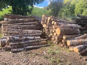 Palivové dřevo měkké-tvrdé