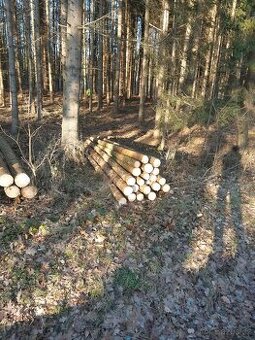 Prodám palivové dřevo