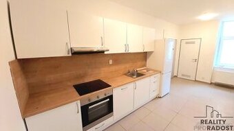 Pronájem bytu 2+1, 74m2, Vlhká, Brno střed