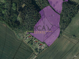 Nabídka pozemků o výměře 37109 m2 v k.ú. Borovnička (okres T - 1