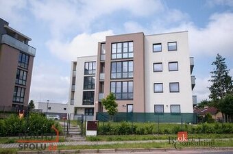 Pronájem, byty/1+kk, 35 m2, U Velkého rybníka 2313/27, 30100
