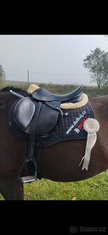 Kentaur Perseus