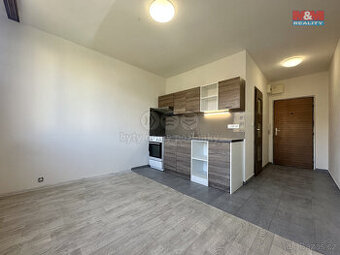 Prodej bytu 1+1, 36 m², Chomutov, ul. Písečná