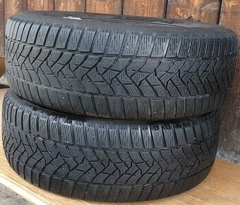 Dunlop Winter Sport5,