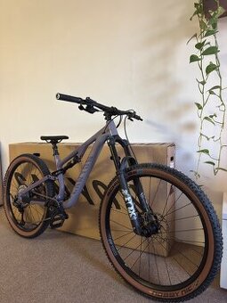 Canyon neuron 6