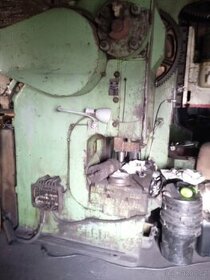 Lis výstředníkový Rus 100