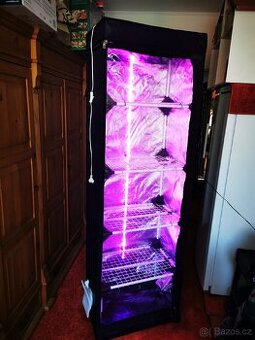 Souprava na pěstování hub v bytě