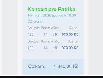 Koncert pro Patrika