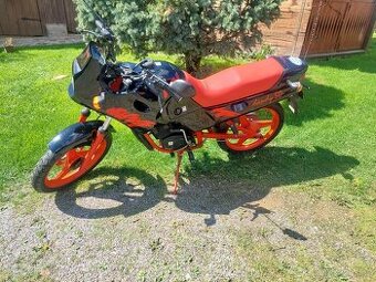 Dandy 50