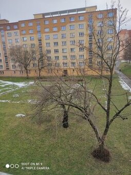 Pronájem bytu 2+1, 59 m² – Chomutovská ulice, Kadaň –