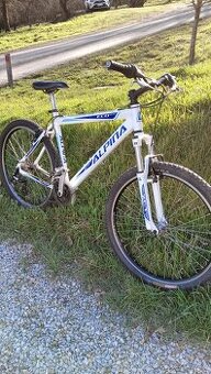 Prodám kolo Alpina eco m10 26"