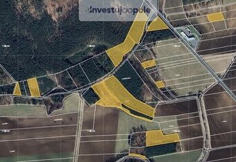 Prodej lesa v k.ú. Oseček, ev.č. 2025-08-07-1