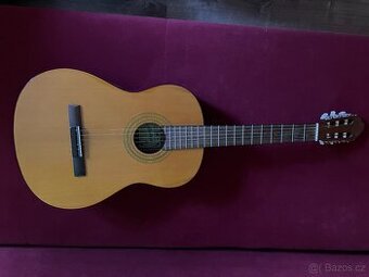 Akustická kytara