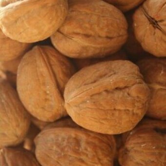 Neloupané vlašské ořechy