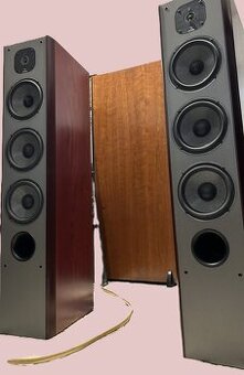 focal 826