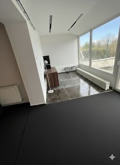 Pronájem bytu 106m2 - 1