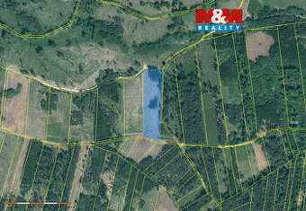 Prodej lesa, 31810 m², Jetětice