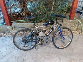 Motokolo