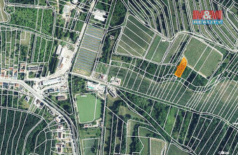 Prodej louky, 1125 m², Němčičky u Hustopečí - 1