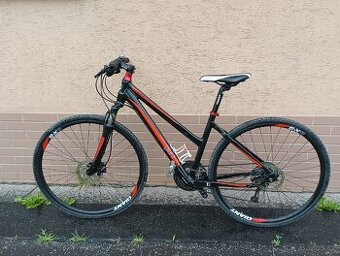 Kolo Giant