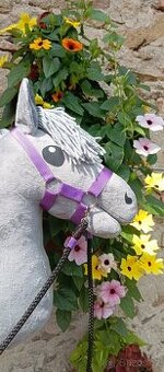 Hobby horse
