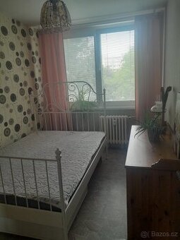 Pronájem pokoje ve spolubydlení