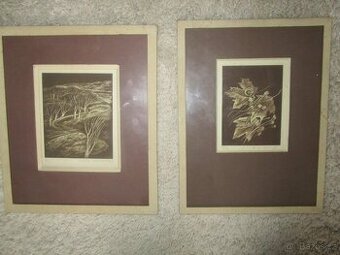 litografie od ak.malířky J.Lázničkové-levně