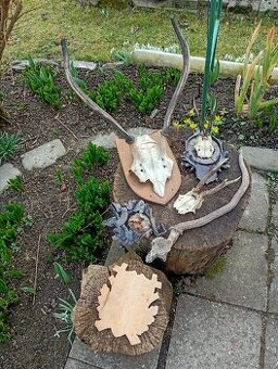 Staré Poškozené Trofeje