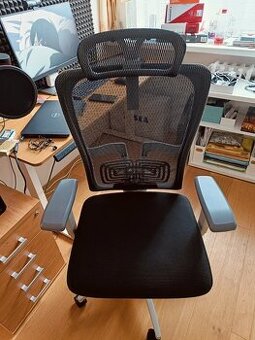 Ergonomická židle GAM, osobní odběr