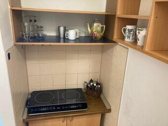 Pronájem bytu 0+1, ul. Nálepkova, Ostrava Poruba, lodžie