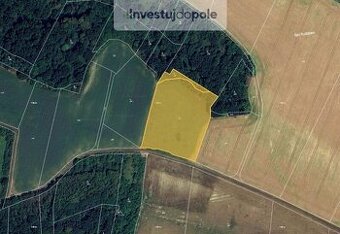 Prodej louky v k.ú. Strážnice u Mělníka