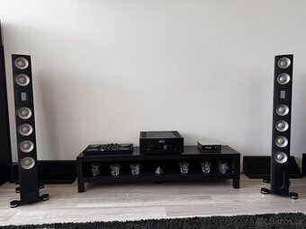 Raidho XT-5 Maple Pasivní Reprosoustava