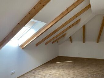 Nový půdní byt 2+k.k.,50m2, P.6-Holešovice, Sternberkova