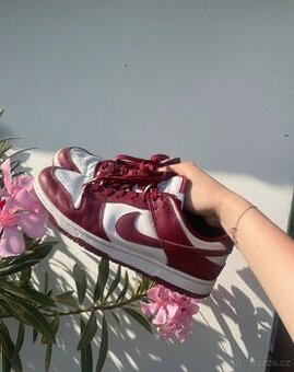 Nike dunk 42