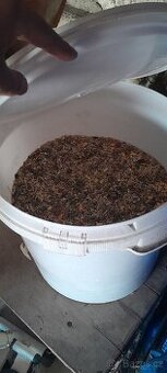 Krmivo pro králíka