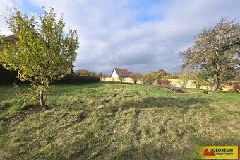 Lesní Hluboké, pronájem zahrady 1.471 m2 - pozemek
