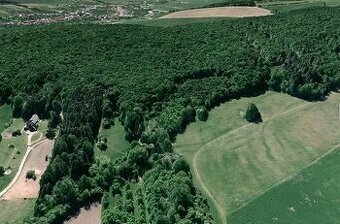 Prodej lesa 7429 m² Nivnice - 1