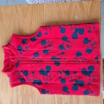 Vel. 92 vesta Disney