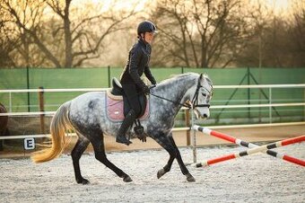 Pony klisna