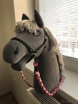 Hobby horse - 1